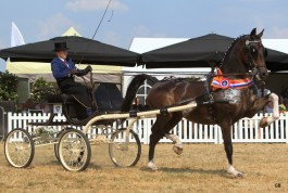 Kevin en Imondro opnieuw kampioen Young Riders