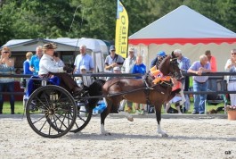 Brookfield May Way kampioen in Rijs