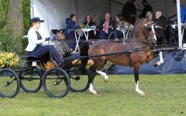 3 overwinningen op RAD Gala