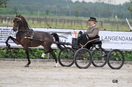 4 overwinningen in Garyp, 3 in Houten