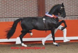 Succes op hackney keuring