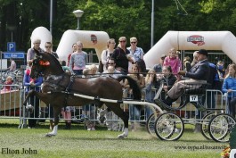 6 keer winst op top concours Bennekom