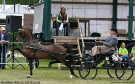 6 oranje rozetten in Boekel