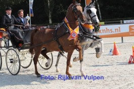 Zilver met Dijkgraaf Hippiade kampioen